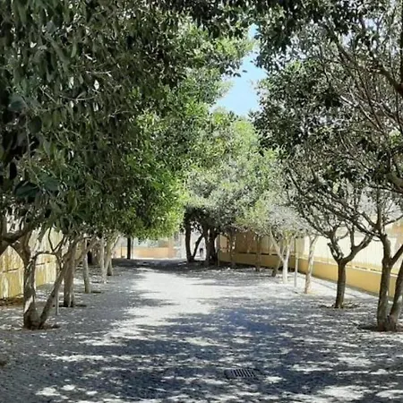 Quinta Da Barracuda Apartments Lägenhet Albufeira